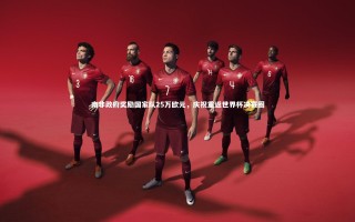【悟空体育官方网站】南非政府奖励国家队25万欧元，庆祝重返世界杯决赛圈