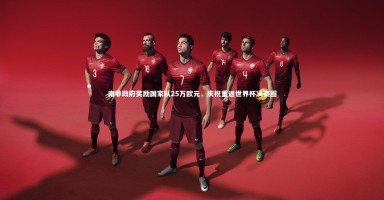 【悟空体育官方网站】南非政府奖励国家队25万欧元，庆祝重返世界杯决赛圈